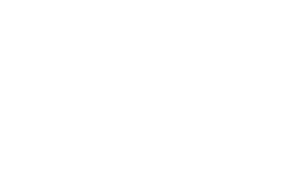 light logo